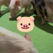 ヒメ日記 2026/05/05 23:03 投稿 ちい『ぽっちゃりコース』 素人学園＠