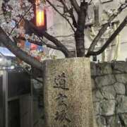 ヒメ日記 2025/04/09 18:36 投稿 みおり レモンカフェ