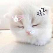 ヒメ日記 2025/09/04 20:02 投稿 きらら アイドルチェッキーナ本店