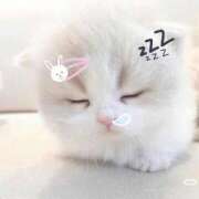 ヒメ日記 2025/09/05 23:32 投稿 きらら アイドルチェッキーナ本店