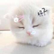 ヒメ日記 2025/09/12 22:42 投稿 きらら アイドルチェッキーナ本店