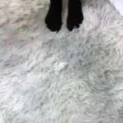 うるは 短いお時間ですが...❕❕ ときめき純情ロリ学園～東京乙女組 新宿校