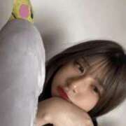 ヒメ日記 2025/06/02 12:02 投稿 かんな 今から乳首を犯しにいってもいいですか？大阪店