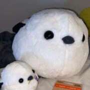 ヒメ日記 2025/11/04 22:01 投稿 かんな 今から乳首を犯しにいってもいいですか？大阪店