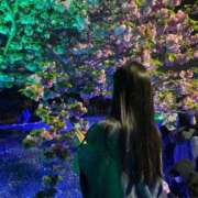 ヒメ日記 2025/04/23 11:37 投稿 いろは 新宿大久保 Aroma Cumpus