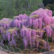 ヒメ日記 2025/05/24 13:10 投稿 らら One More奥様　横浜関内店