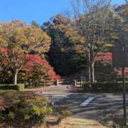 ヒメ日記 2025/11/25 17:32 投稿 らら One More奥様　横浜関内店