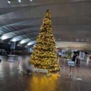 ヒメ日記 2025/12/22 20:52 投稿 らら One More奥様　横浜関内店