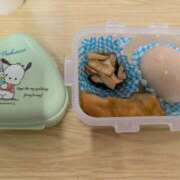 ヒメ日記 2026/03/04 08:01 投稿 らら One More奥様　横浜関内店