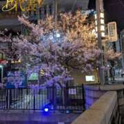 ヒメ日記 2026/03/25 12:02 投稿 らら One More奥様　横浜関内店