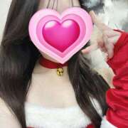 ヒメ日記 2024/12/25 13:41 投稿 こむぎ あるまぎ！