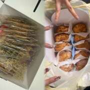 ヒメ日記 2025/01/15 13:44 投稿 こむぎ あるまぎ！