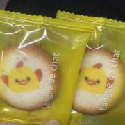 ヒメ日記 2025/09/29 12:58 投稿 こむぎ あるまぎ！