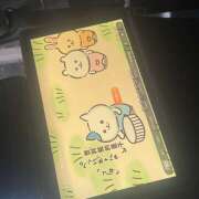 ヒメ日記 2025/11/08 12:50 投稿 こむぎ あるまぎ！