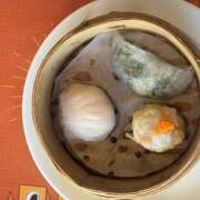 ヒメ日記 2025/12/09 14:36 投稿 こむぎ あるまぎ！