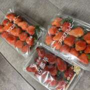 ヒメ日記 2026/01/11 12:53 投稿 こむぎ あるまぎ！