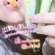 ヒメ日記 2025/03/12 10:59 投稿 おとは 鹿児島ちゃんこ霧島店