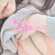 ヒメ日記 2025/03/26 12:19 投稿 おとは 鹿児島ちゃんこ霧島店