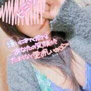 ヒメ日記 2025/04/28 17:59 投稿 おとは 鹿児島ちゃんこ霧島店