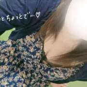 ヒメ日記 2025/10/26 14:59 投稿 おとは 鹿児島ちゃんこ霧島店