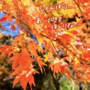 ヒメ日記 2025/11/25 15:29 投稿 おとは 鹿児島ちゃんこ霧島店