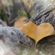 ヒメ日記 2025/12/01 08:23 投稿 おとは 鹿児島ちゃんこ霧島店