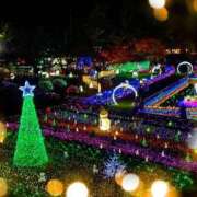 ヒメ日記 2025/12/01 19:11 投稿 おとは 鹿児島ちゃんこ霧島店