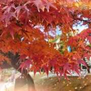 ヒメ日記 2025/12/02 22:19 投稿 おとは 鹿児島ちゃんこ霧島店