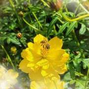 ヒメ日記 2026/01/12 01:49 投稿 おとは 鹿児島ちゃんこ霧島店