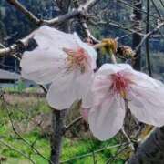 ヒメ日記 2026/03/29 21:09 投稿 おとは 鹿児島ちゃんこ霧島店