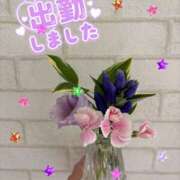 ヒメ日記 2025/09/03 15:17 投稿 ゆり さくらん