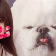 ヒメ日記 2025/06/10 02:21 投稿 ここ ぷるるん小町 京橋店