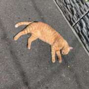 ヒメ日記 2025/10/29 18:41 投稿 ここ ぷるるん小町 京橋店