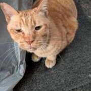 ここ 抽選動画重くて更新に時間とってます ぷるるん小町 京橋店