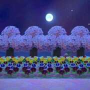 ヒメ日記 2025/03/15 01:38 投稿 あん 白いぽっちゃりさん仙台店