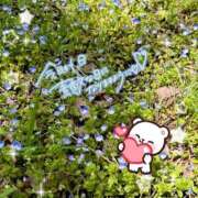 ヒメ日記 2025/04/20 13:08 投稿 あん 白いぽっちゃりさん仙台店