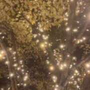 ヒメ日記 2024/12/19 18:06 投稿 音色さき 五反田ウルトラファンタジー