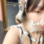 ヒメ日記 2025/03/14 17:21 投稿 川崎 まい メルビス＆アトリアーナ