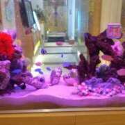 ヒメ日記 2025/02/02 23:33 投稿 沙菜-さな【FG系列】 ほんつま 町田/相模原店