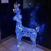 ヒメ日記 2025/12/13 16:23 投稿 なち CA倶楽部