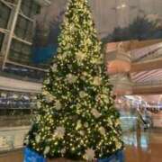 ヒメ日記 2024/12/24 17:12 投稿 水沢りょう 五十路マダム姫路店