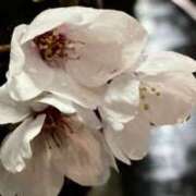 水沢りょう ビッショリとッ 五十路マダム姫路店