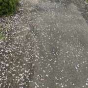 水沢りょう 素敵? 五十路マダム姫路店