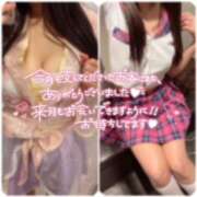 ヒメ日記 2025/08/03 00:59 投稿 ＊みぃな＊ Cheers(チアーズ)