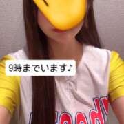 ヒメ日記 2026/05/04 18:26 投稿 ＊みぃな＊ Cheers(チアーズ)