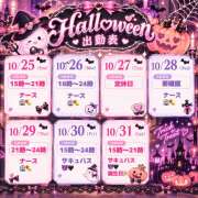 ヒメ日記 2026/10/14 14:57 投稿 ＊みぃな＊ Cheers(チアーズ)