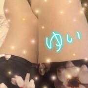 ヒメ日記 2024/12/28 11:42 投稿 ゆい ファーストレディ(博多)