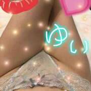 ヒメ日記 2025/02/01 08:42 投稿 ゆい ファーストレディ(博多)