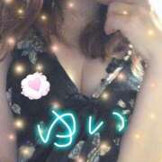 ヒメ日記 2025/02/15 10:52 投稿 ゆい ファーストレディ(博多)