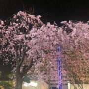 ヒメ日記 2025/03/26 20:03 投稿 ゆい ファーストレディ(博多)